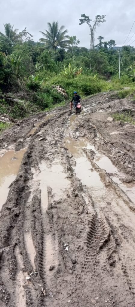 Dibangun dengan Anggaran Rp 2 Milyar, Kondisi Jalan TMDD Lemowalia Kini Rusak Parah